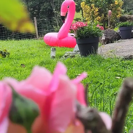 Bed & Breakfast Le Boudoir - D'hotes Bien-etre & Velos Moncoutant